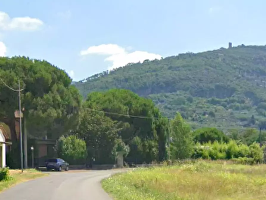 Immagine 6 di Terreno agricolo in vendita  in via Fonda a Pieve A Nievole