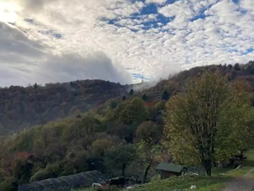 Immagine 1 di Terreno agricolo in vendita  in Località Rubbio a Bassano Del Grappa
