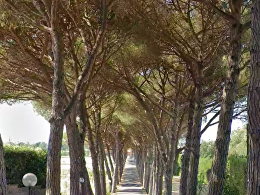 Immagine 7 di Appartamento in vendita  in Viale del Vergaiolo a Pieve A Nievole