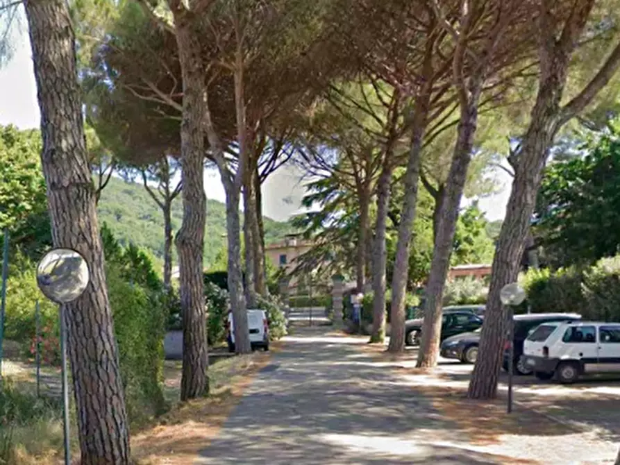 Immagine 8 di Appartamento in vendita  in Viale del Vergaiolo a Pieve A Nievole