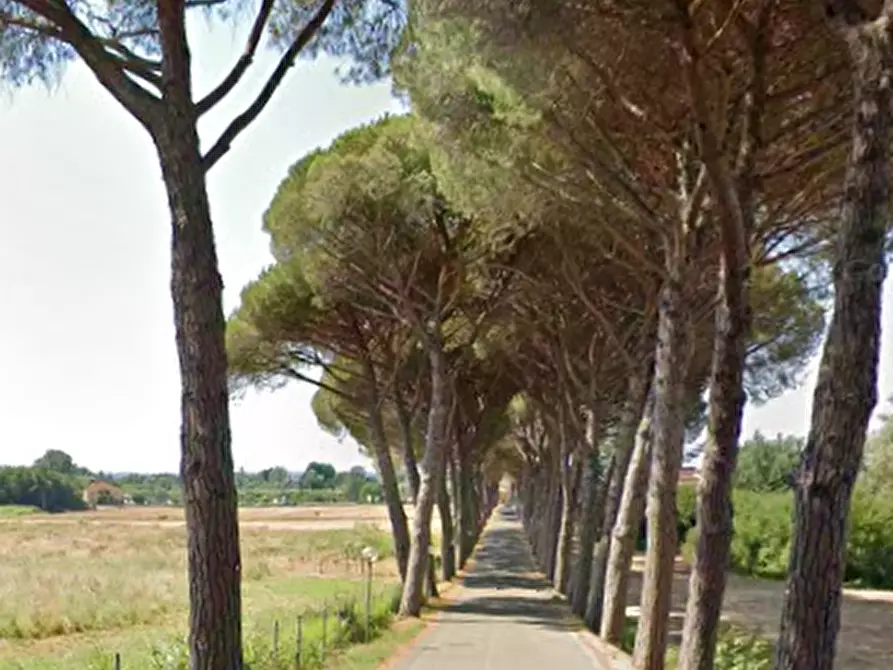 Immagine 9 di Appartamento in vendita  in Viale del Vergaiolo a Pieve A Nievole