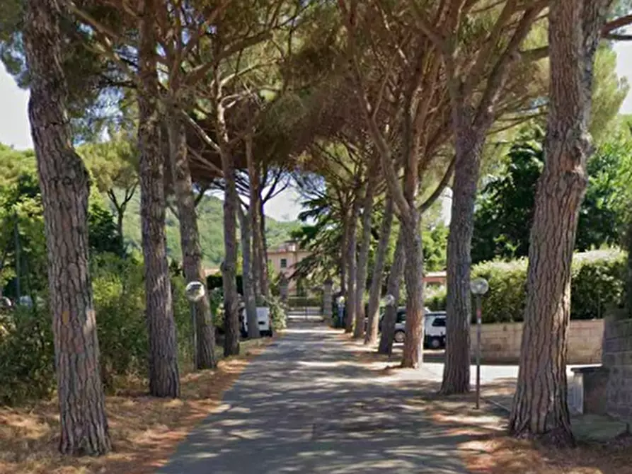 Immagine 10 di Appartamento in vendita  in Viale del Vergaiolo a Pieve A Nievole