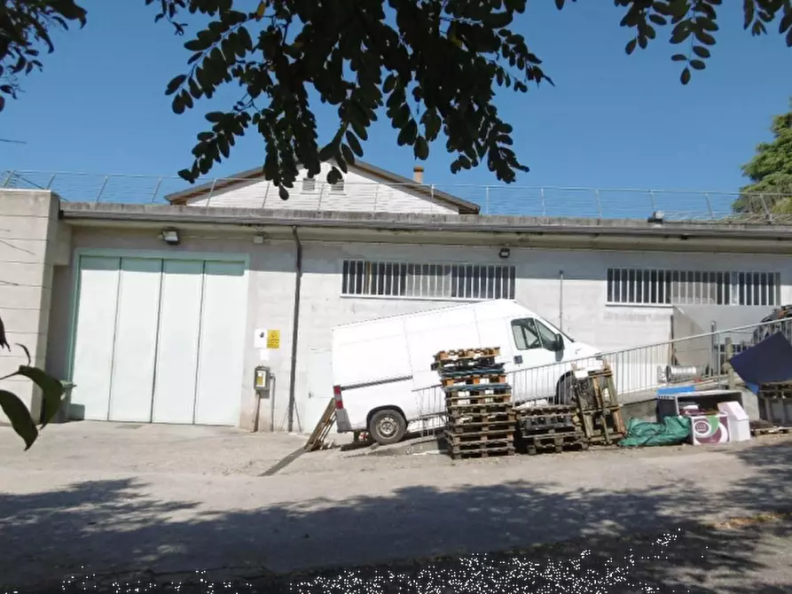 Immagine 3 di Azienda agricola in vendita  in Via Valle Molini a Sommacampagna