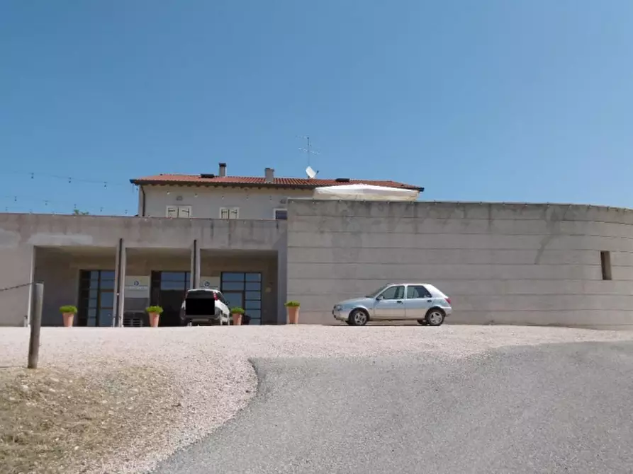 Immagine 4 di Azienda agricola in vendita  in Via Valle Molini a Sommacampagna