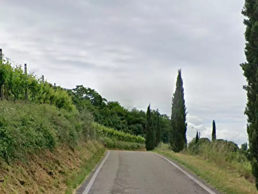 Immagine 13 di Azienda agricola in vendita  in Via Valle Molini a Sommacampagna