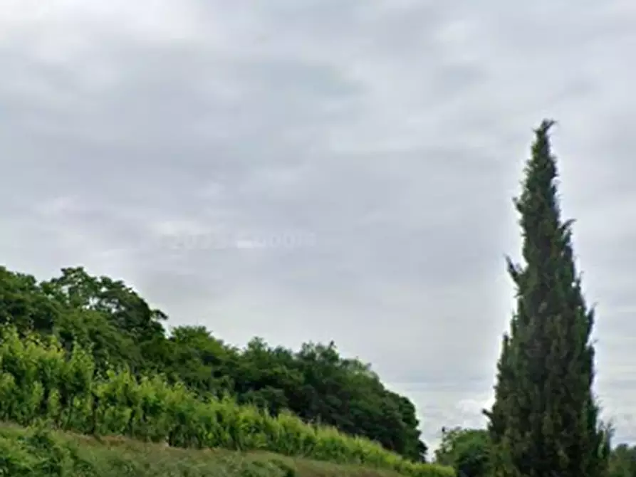 Immagine 14 di Azienda agricola in vendita  in Via Valle Molini a Sommacampagna