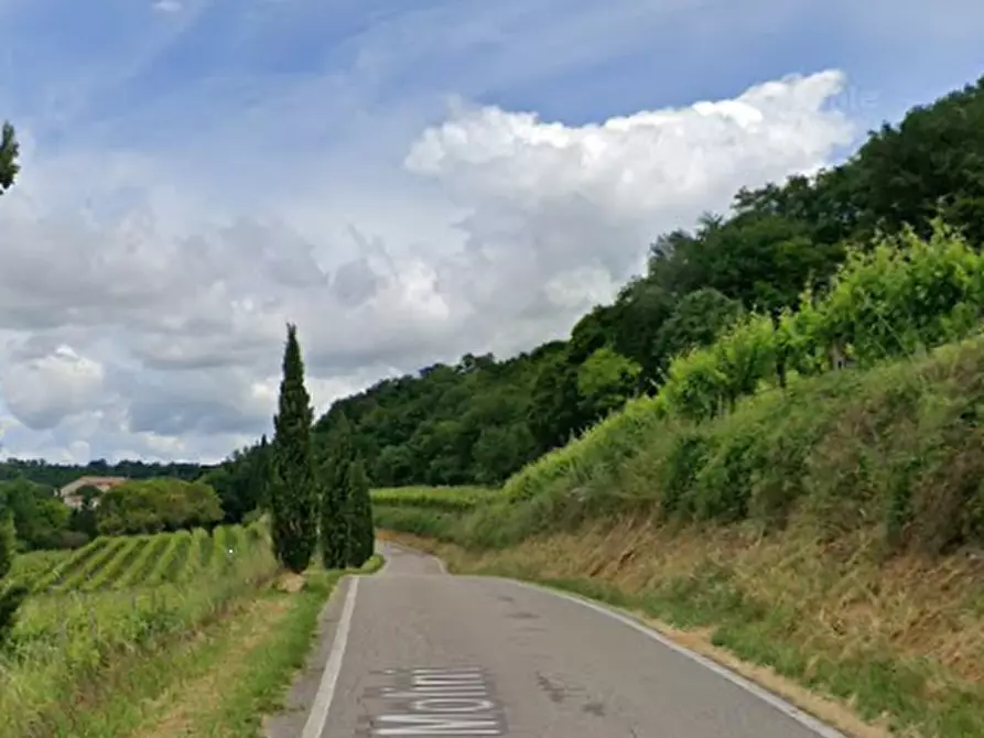 Immagine 15 di Azienda agricola in vendita  in Via Valle Molini a Sommacampagna