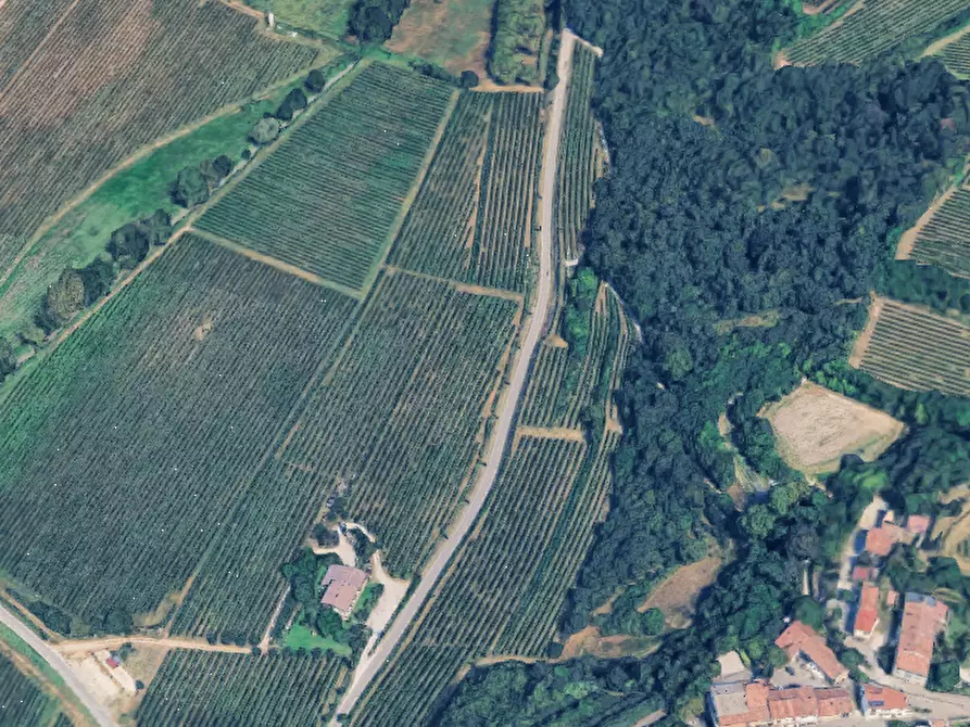 Immagine 16 di Azienda agricola in vendita  in Via Valle Molini a Sommacampagna