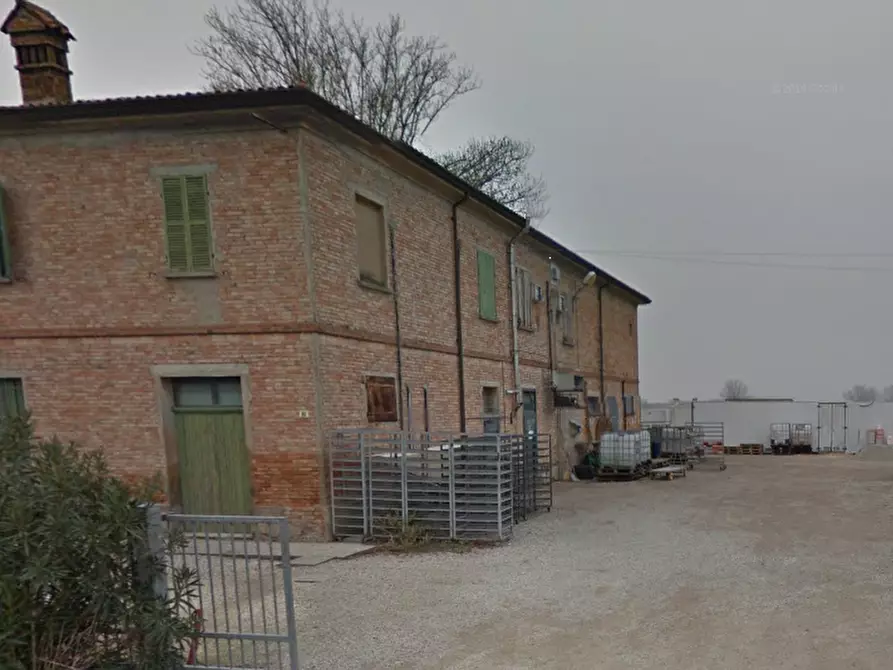 Immagine 2 di Azienda agricola in vendita  in Via paradosso a Bagnacavallo