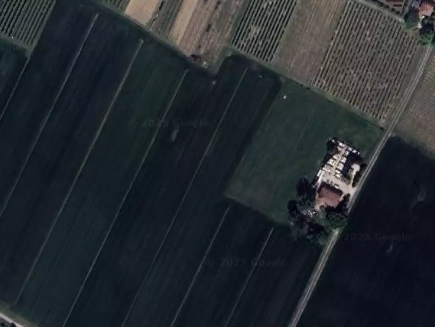 Immagine 7 di Azienda agricola in vendita  in Via paradosso a Bagnacavallo