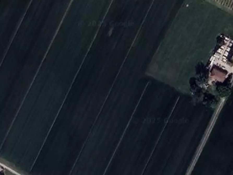 Immagine 8 di Azienda agricola in vendita  in Via paradosso a Bagnacavallo