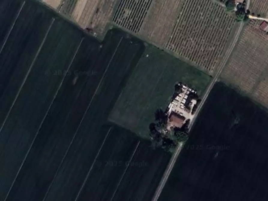 Immagine 9 di Azienda agricola in vendita  in Via paradosso a Bagnacavallo