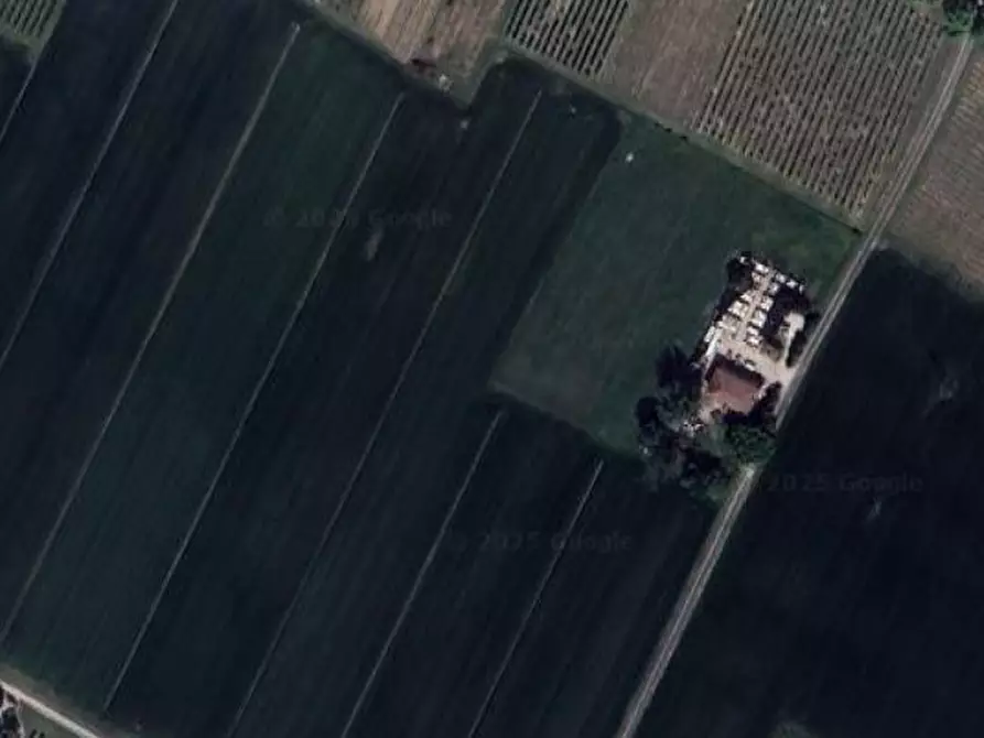 Immagine 10 di Azienda agricola in vendita  in Via paradosso a Bagnacavallo