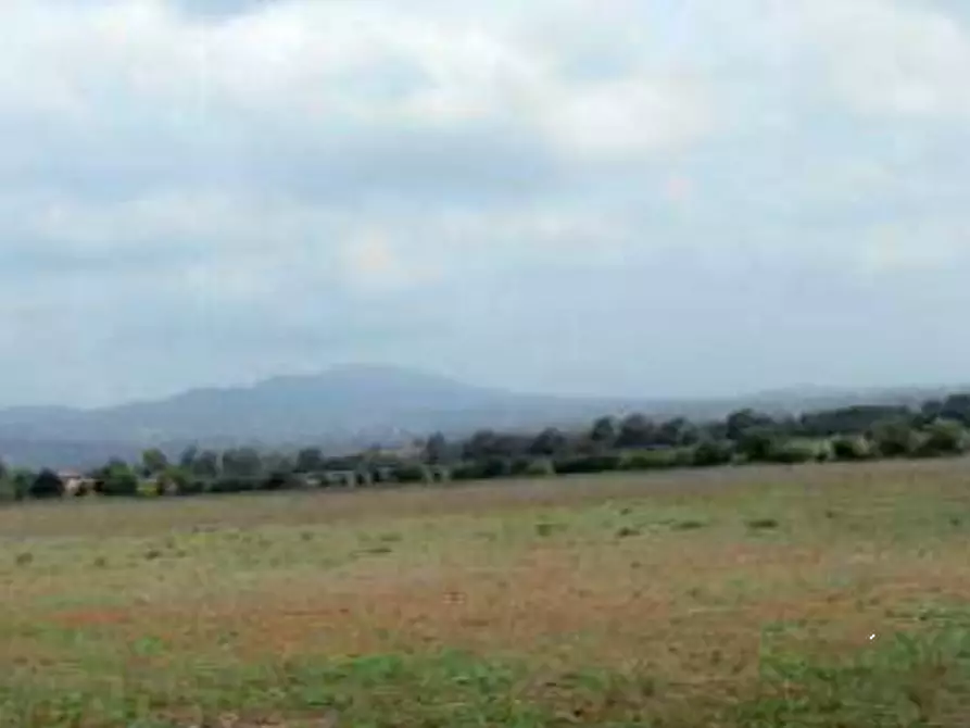 Immagine 1 di Terreno edificabile in vendita  in Strada Statale Nettunense a Lanuvio