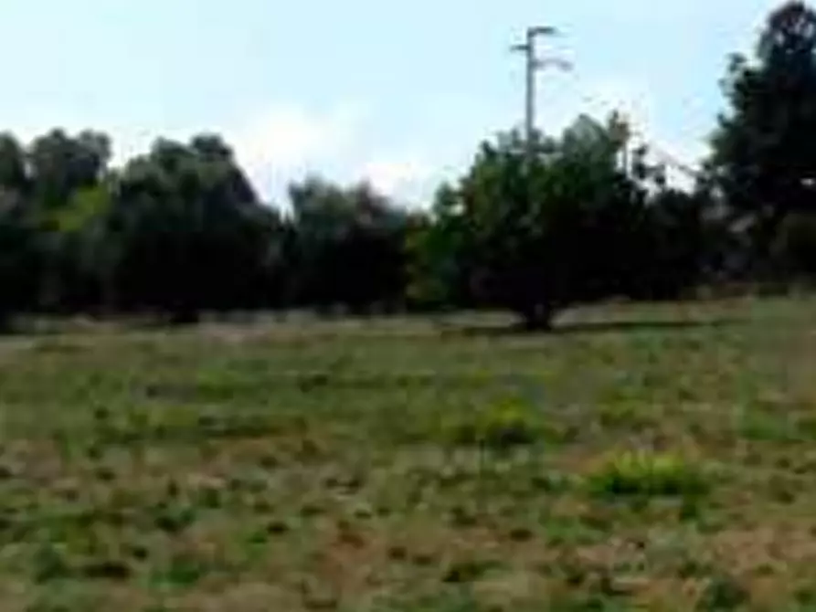 Immagine 3 di Terreno edificabile in vendita  in Strada Statale Nettunense a Lanuvio