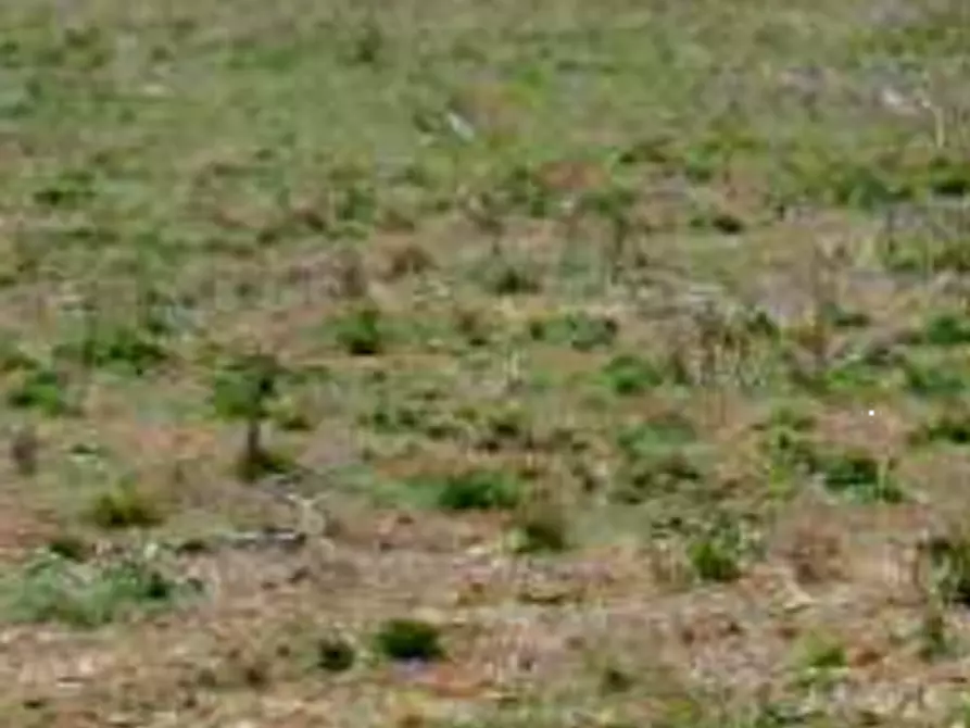 Immagine 4 di Terreno edificabile in vendita  in Strada Statale Nettunense a Lanuvio