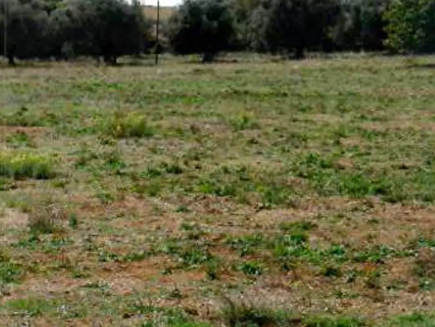 Immagine 5 di Terreno edificabile in vendita  in Strada Statale Nettunense a Lanuvio