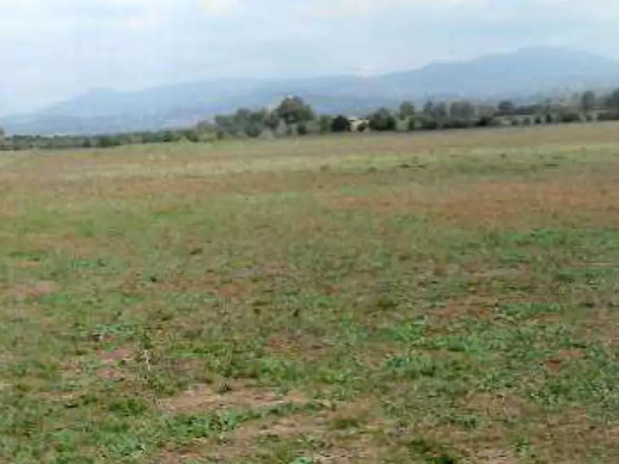 Immagine 6 di Terreno edificabile in vendita  in Strada Statale Nettunense a Lanuvio
