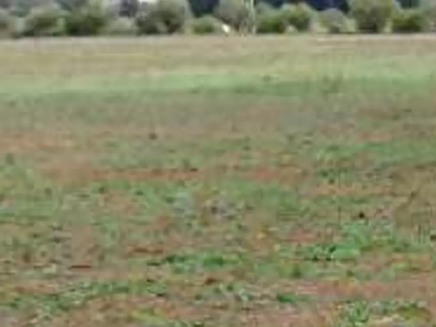 Immagine 7 di Terreno edificabile in vendita  in Strada Statale Nettunense a Lanuvio