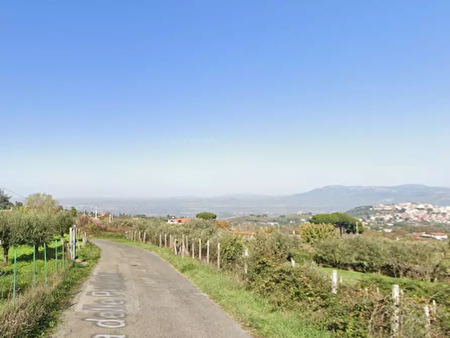 Immagine 9 di Casa indipendente in vendita  in Via delle Pedicate a Montecompatri
