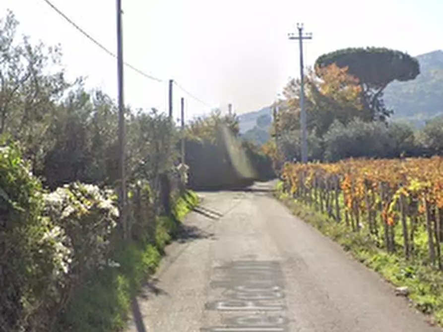 Immagine 11 di Casa indipendente in vendita  in Via delle Pedicate a Montecompatri