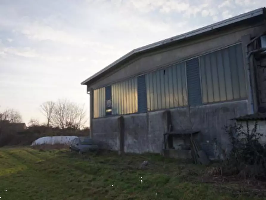 Immagine 9 di Capannone industriale in vendita  in Via Tessagli Primi a Commessaggio