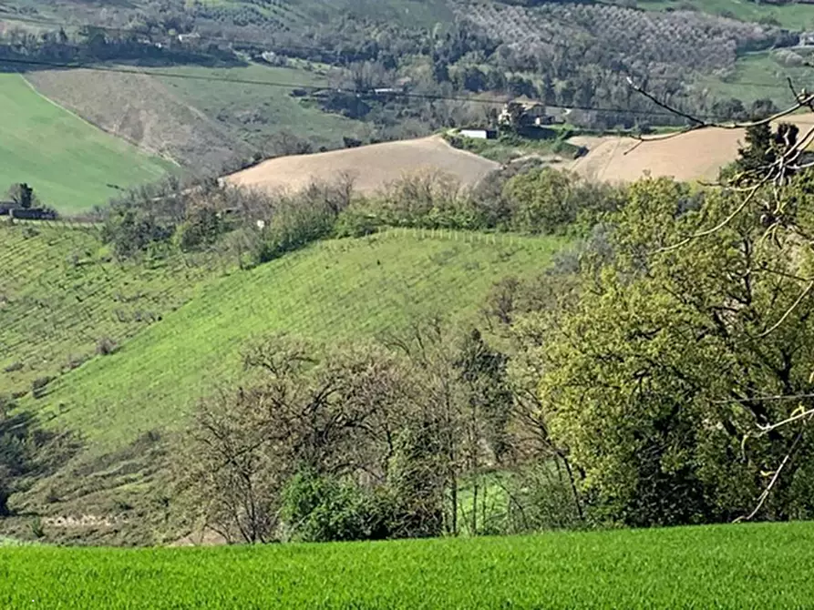 Immagine 1 di Terreno agricolo in vendita  in Contrada San Procolo a Monte Vidon Combatte