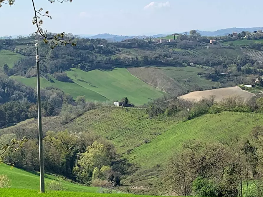 Immagine 2 di Terreno agricolo in vendita  in Contrada San Procolo a Monte Vidon Combatte