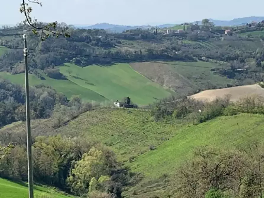Immagine 3 di Terreno agricolo in vendita  in Contrada San Procolo a Monte Vidon Combatte