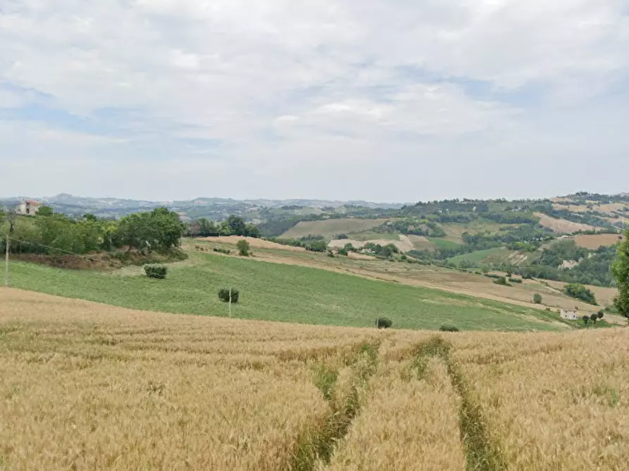 Immagine 4 di Terreno agricolo in vendita  in Contrada San Procolo a Monte Vidon Combatte