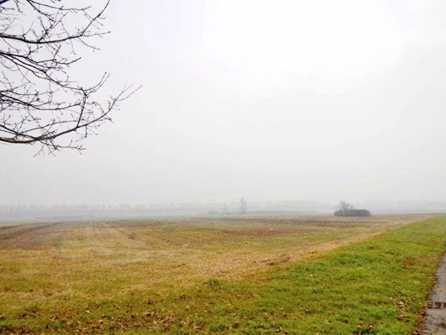 Immagine 2 di Terreno agricolo in vendita  in Via L. Fontana a Malalbergo