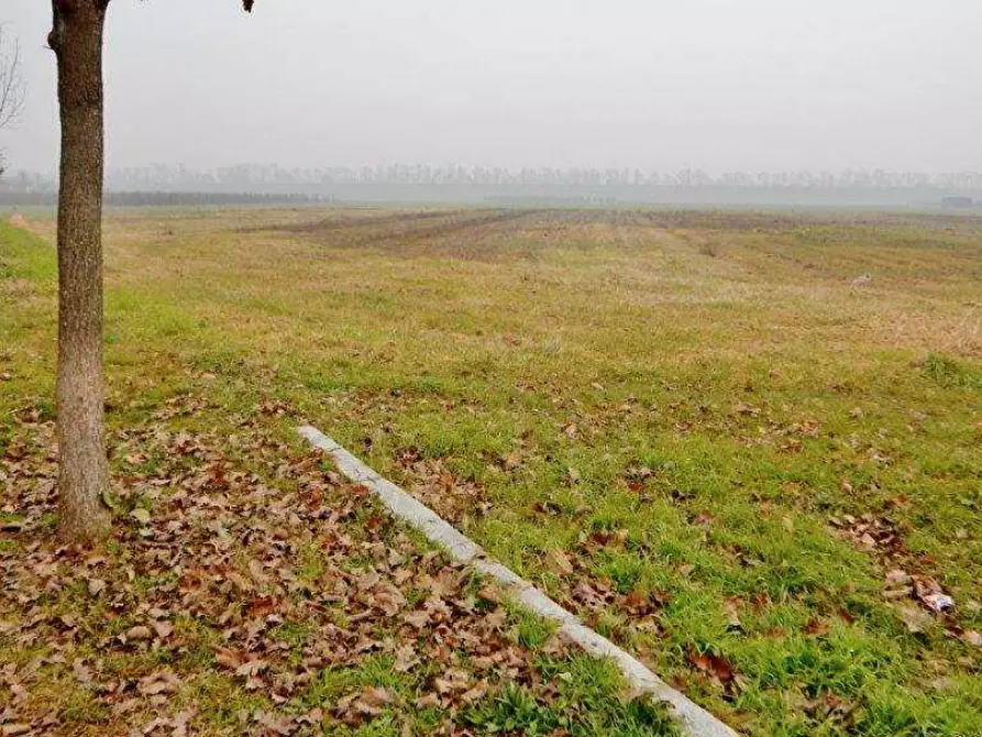 Immagine 3 di Terreno agricolo in vendita  in Via L. Fontana a Malalbergo