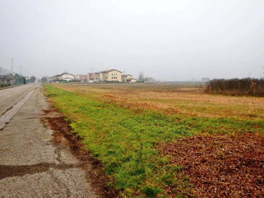 Immagine 4 di Terreno agricolo in vendita  in Via L. Fontana a Malalbergo
