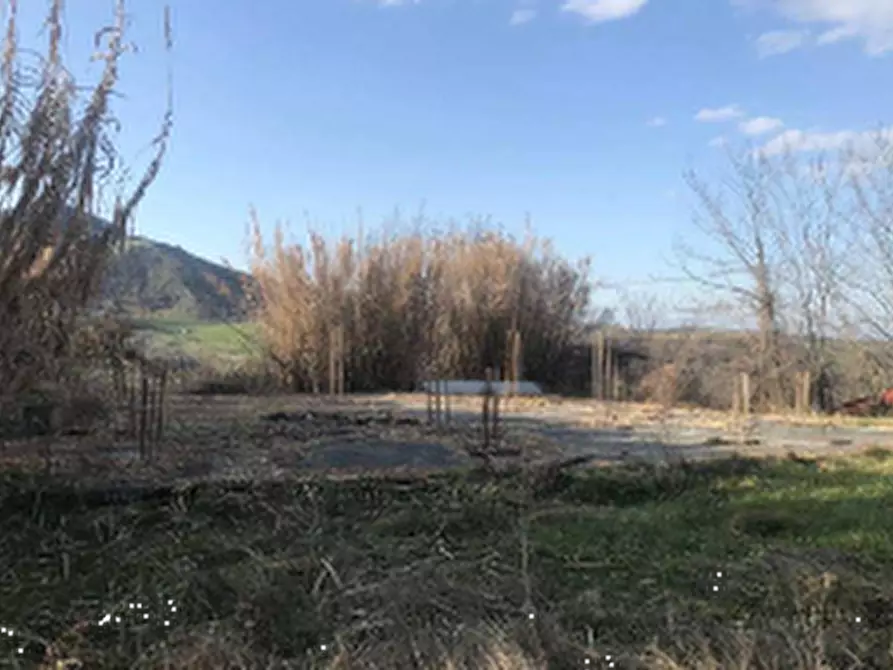 Immagine 4 di Terreno agricolo in vendita  in Via Rancidello a Poggio Torriana