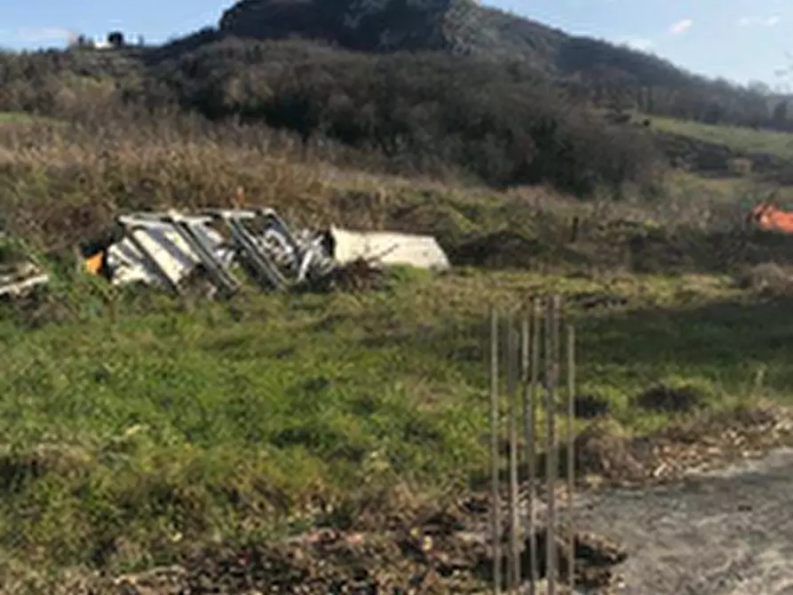 Immagine 5 di Terreno agricolo in vendita  in Via Rancidello a Poggio Torriana