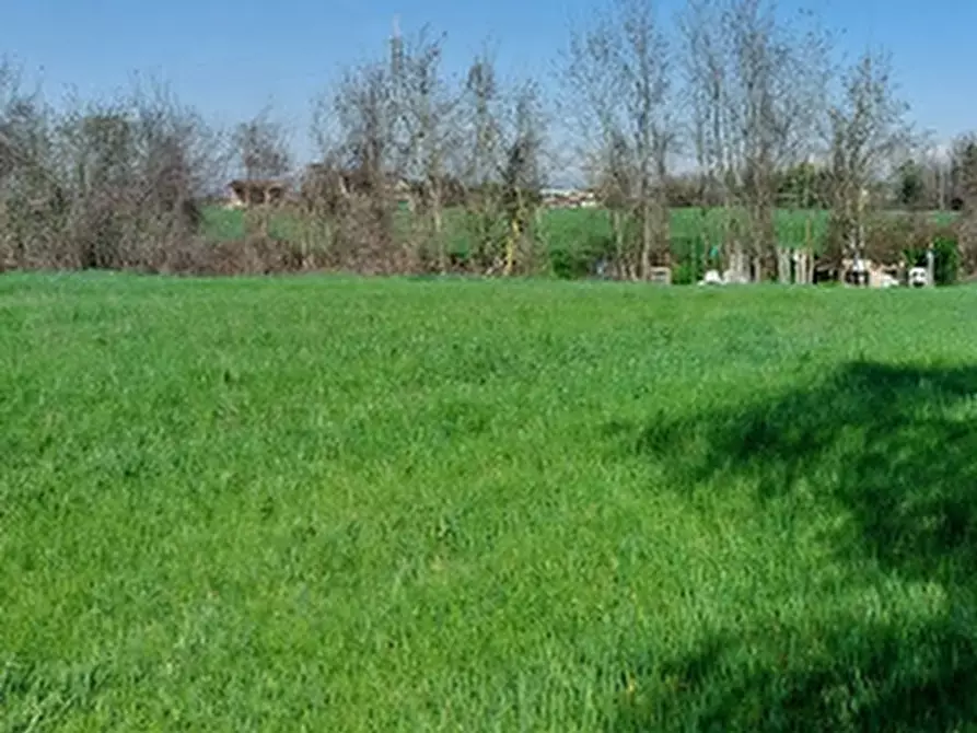 Immagine 1 di Terreno edificabile in vendita  in Via Zolino a Imola