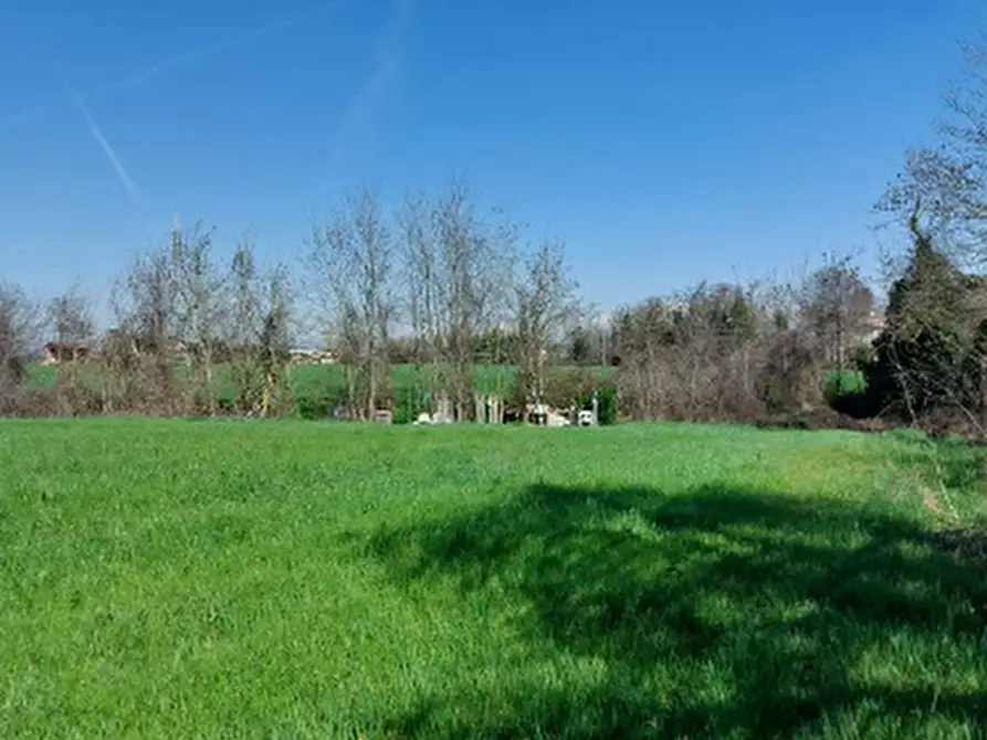 Immagine 3 di Terreno edificabile in vendita  in Via Zolino a Imola