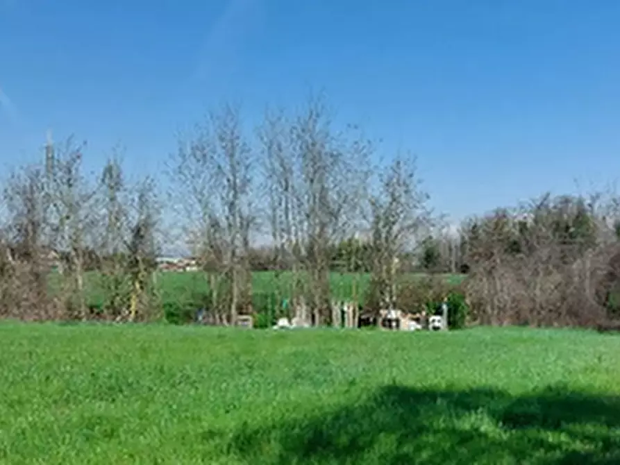 Immagine 4 di Terreno edificabile in vendita  in Via Zolino a Imola