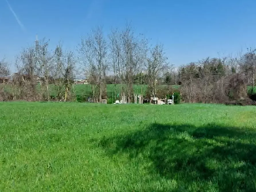Immagine 5 di Terreno edificabile in vendita  in Via Zolino a Imola