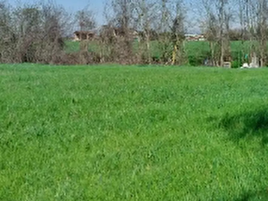 Immagine 6 di Terreno edificabile in vendita  in Via Zolino a Imola