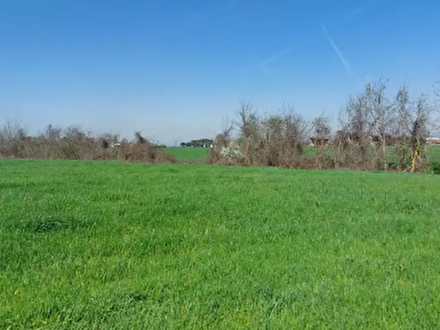 Immagine 7 di Terreno edificabile in vendita  in Via Zolino a Imola