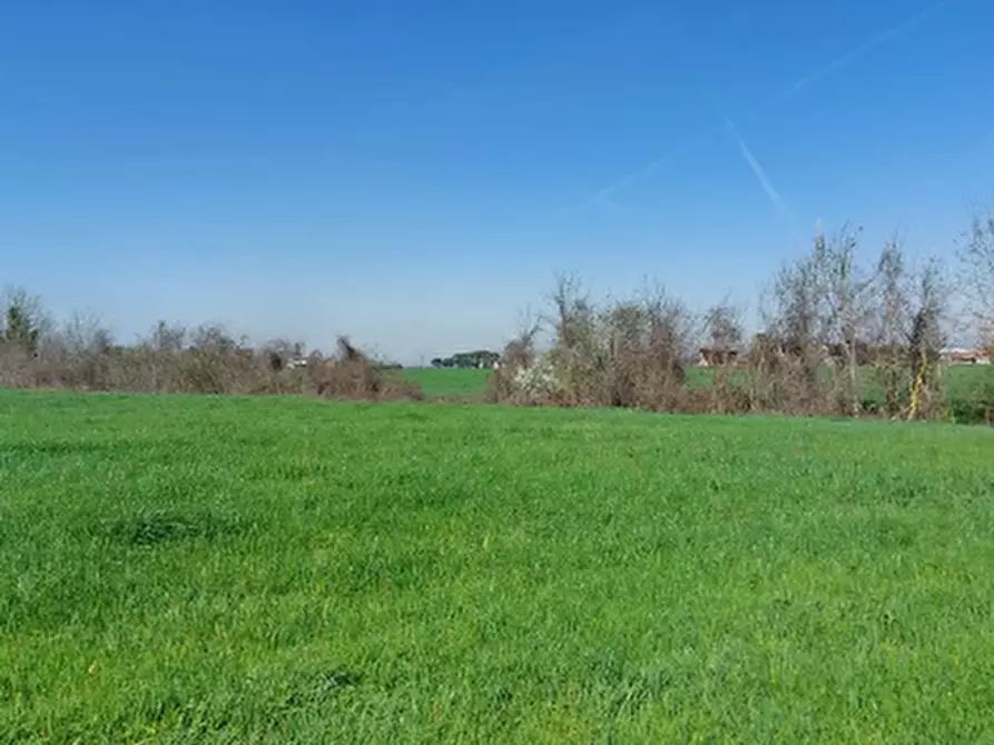 Immagine 8 di Terreno edificabile in vendita  in Via Zolino a Imola