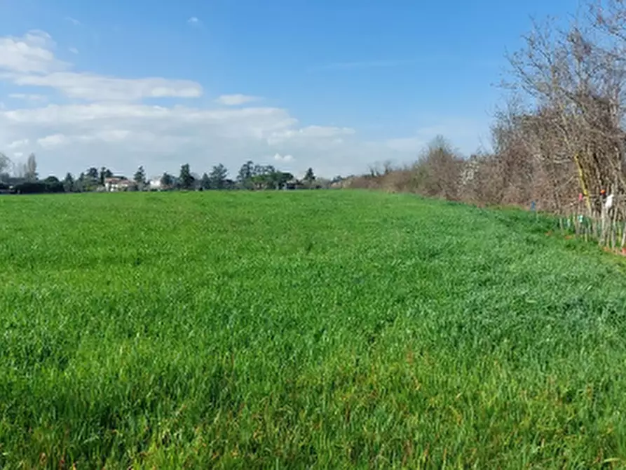 Immagine 9 di Terreno edificabile in vendita  in Via Zolino a Imola