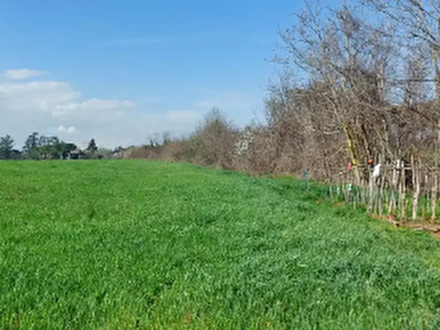 Immagine 10 di Terreno edificabile in vendita  in Via Zolino a Imola