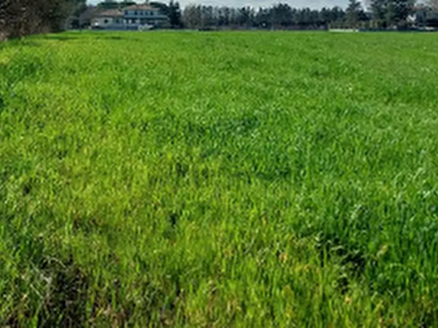 Immagine 13 di Terreno edificabile in vendita  in Via Zolino a Imola
