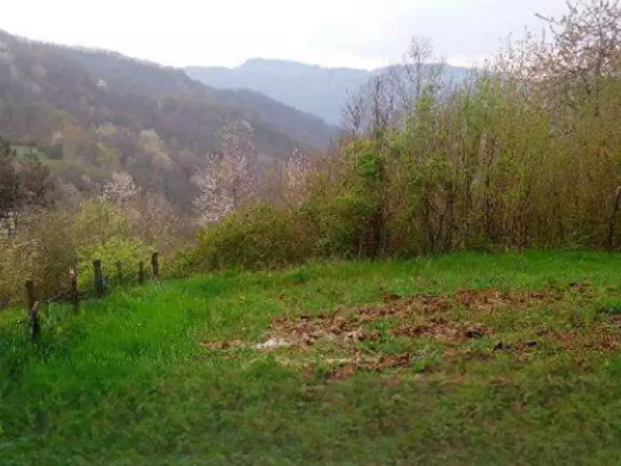Immagine 1 di Terreno agricolo in vendita  in Localita' Tornarezza a Ferriere