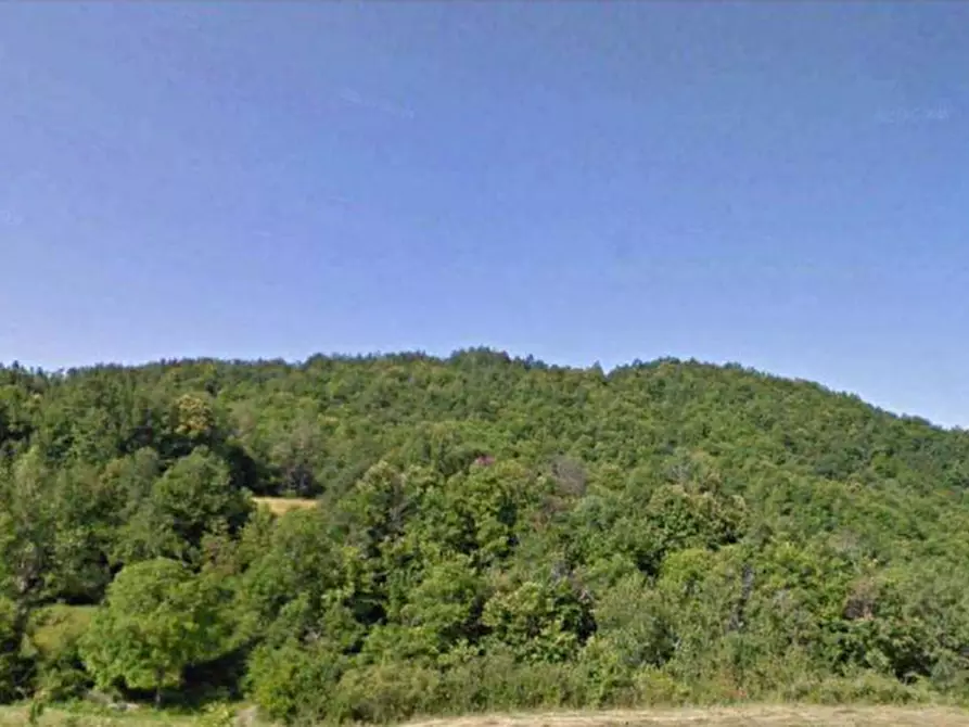 Immagine 2 di Terreno agricolo in vendita  in Localita' Tornarezza a Ferriere