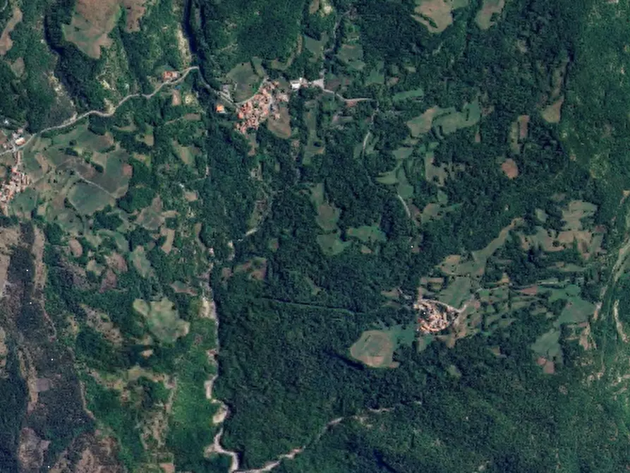 Immagine 15 di Terreno agricolo in vendita  in Localita' Tornarezza a Ferriere