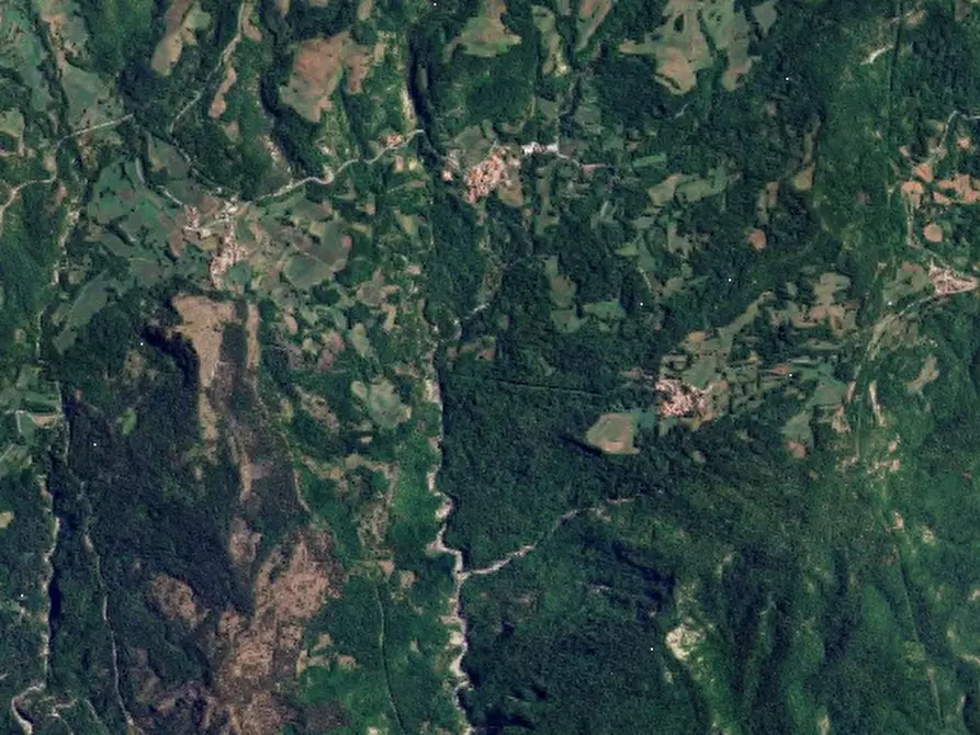 Immagine 16 di Terreno agricolo in vendita  in Localita' Tornarezza a Ferriere