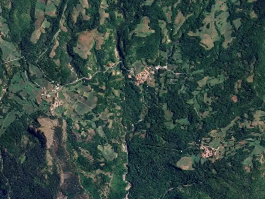 Immagine 17 di Terreno agricolo in vendita  in Localita' Tornarezza a Ferriere